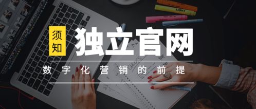 離開獨立官網談數字化營銷，無異于網絡文化經營中的“無本之木”